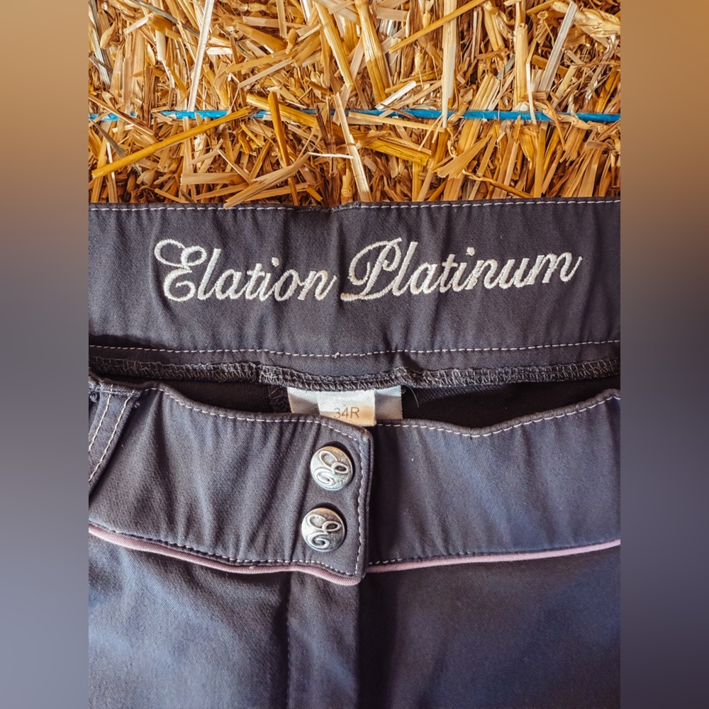 Elation Platinum Riding Breeches Deep Grey/Purple Size 34R